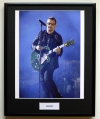 BONO/FRAMED