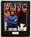 THE MONKEES/FRAMED