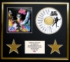 ALICE COOPER/CD DISPLAY/ LIMITED EDITION/COA/HEY STOOPID