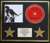 BRUCE SPRINGSTEEN/CD DISPLAY/ LIMITED EDITION/COA/BORN TO RUN