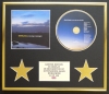 DAVID GRAY/CD DISPLAY/ LIMITED EDITION/COA/A NEW DAY AT MIDNIGHT
