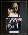 METALLICA/DOUBLE PHOTO DISPLAY/FRAMED