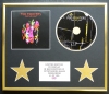 FOO FIGHTERS/CD DISPLAY/ LIMITED EDITION/COA/WASTING LIGHTS