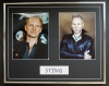 STING/DOUBLE PHOTO DISPLAY/FRAMED