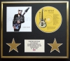 JOE SATRIANI/CD DISPLAY/LIMITED EDITION/COA/CRYSTAL PLANET
