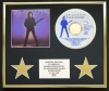 JOE SATRIANI/CD DISPLAY/LIMITED EDITION/COA/FLYING IN A BLUE DREAM