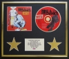 MIKE & THE MECHANICS/CD DISPLAY/LIMITED EDITION/COA/HITS