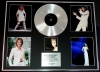 CELINE DION/GIGANTIC CD PLATINUM DISC & PHOTO DISPLAY/LTD. EDITION/LET'S TALK ABOUT LOVE