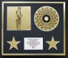 RIOT CITY BLUES/CD DISPLAY/LIMITED EDITION/COA/RIOT CITY BLUES