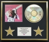 SIMPLY RED/CD DISPLAY/LIMITED EDITION/COA/A NEW FLAME
