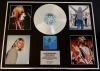NIRVANA/GIGANTIC CD PLATINUM DISC & PHOTO DISPLAY/LTD. EDITION/NEVERMIND