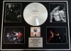 SEX PISTOLS/GIGANTIC CD PLATINUM DISC & PHOTO DISPLAY/LTD. EDITION/FLOGGING A DEAD HORSE