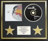THE SEAHORSES/CD DISPLAY/LIMITED EDITION/COA/DO IT YOURSELF