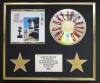 STEVIE RAY VAUGHAN/CD DISPLAY/LIMITED EDITION/COA/THE SKY IS CRYING