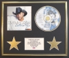 TIM MCGRAW/CD DISPLAY/LIMITED EDITION/COA/SOUTHERN VOICE