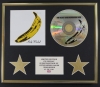 THE VELVET/CD DISPLAY/LIMITED EDITION/COA/UNDERGROUND & NICO