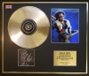 LENNY KRAVITZ/CD GOLD DISC & PHOTO DISPLAY/LTD. EDITION/COA/ALBUM CIRCUS