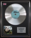 BRAD PAISLEY/LTD EDITION CD PLATINUM DISC/RECORD/THIS IS COUNTRY MUSIC