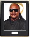 STEVIE WONDER/FRAMED PHOTO