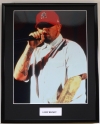 LIMP BIZKIT/FRAMED PHOTO