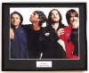 RED HOT CHILI PEPPERS/FRAMED PHOTO