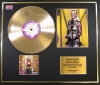 BRITNEY SPEARS/CD GOLD DISC & PHOTO DISPLAY/LTD. EDITION/COA/ALBUM OOPS!..I DID IT AGAIN