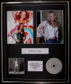 MARIAH CAREY/CD & DOUBLE PHOTO DISPLAY/LTD EDITION/ALBUM #1'S