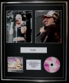 PINK/CD & DOUBLE PHOTO DISPLAY/LTD EDITION/ALBUM MISSUNDAZTOOD