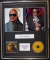 STEVIE WONDER/CD & DOUBLE PHOTO DISPLAY/LTD EDITION/ALBUM THE DEFINITIVE COLLECTION