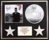 PANIC AT THE DISCO/CD DISPLAY/LIMITED EDITION/COA/TOO WEIRD TO LIVE, TOO RARE TO DIE