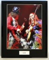 SLADE/FRAMED PHOTO