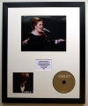 ADELE/PHOTO & CD DISPLAY LTD. EDITION OF THE ALBUM 19