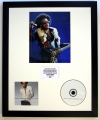 LENNY KRAVITZ/PHOTO & CD DISPLAY LTD. EDITION OF THE ALBUM GREATEST HITS