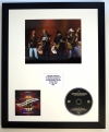 LYNYRD SKYNYRD/PHOTO & CD DISPLAY LTD. EDITION OF THE ALBUM THE COLLECTION