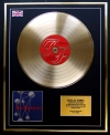 FOO FIGHTERS/LTD. EDITION CD GOLD DISC/RECORD/THE COLOUR AND THE SHAPE