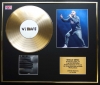 DRAKE/CD GOLD DISC & PHOTO DISPLAY/LTD. EDITION/COA/ALBUM VIEWS