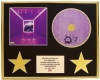 FALL OUT BOY/CD DISPLAY/LIMITED EDITION/COA/MANIA