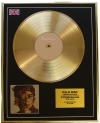SHAWN MENDES/LTD. EDITION CD GOLD DISC/RECORD/SHAWN MENDES