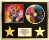 PINK /CD DISPLAY/ LIMITED EDITION/COA/ HURTS 2B HUMAN