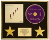 MUMFORD & SONS /CD DISPLAY/LIMITED EDITION/COA/ DELTA