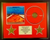 RED HOT CHILI PEPPERS/CD DISPLAY/LIMITED EDITION/COA/CALIFORNICATION