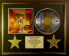 CYNDI LAUPER/CD DISPLAY/ LIMITED EDITION/COA/A NIGHT TO REMEMBER