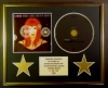 CHER/CD DISPLAY/ LIMITED EDITION/COA/THE GREATEST HITS