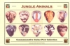 JUNGLE ANIMALS/COMMEMORATIVE GUITAR PICK COLLECTION