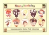 HAPPY BIRTHDAY/COMMEMORATIVE GUITAR PICK COLLECTION