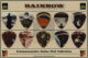 RAINBOW/COMMEMORATIVE GUITAR PICK COLLECTION