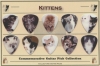 KITTENS  COMMEMORATIVE GUITAR PICK COLLECTION