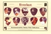 EVERLAST/COMMEMORATIVE GUITAR PICK COLLECTION
